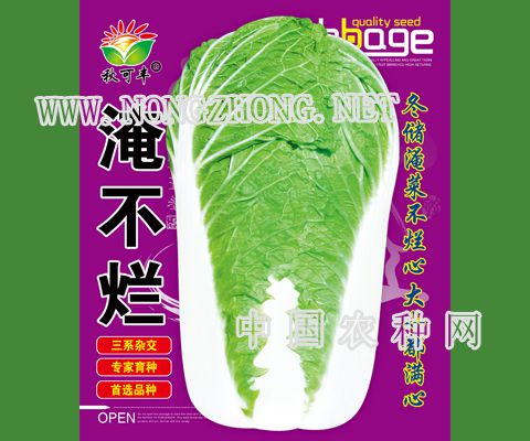 淹不烂